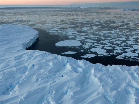 Greenpeace co-founder Patrick Moore tells US Senate there is "no proof ...