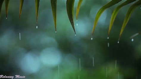 Relaxing Piano Music Soft Rain Sounds For Sleep Focus Studying Or