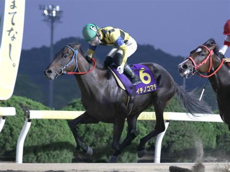 【佐賀・佐賀若駒賞予想】重賞勝ち馬イチノコマチが貫録見せるレースの見どころ 競馬ニュース