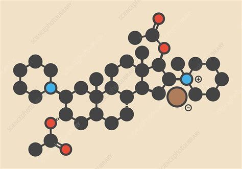 Vecuronium bromide molecule - Stock Image - F013/0813 - Science Photo Library