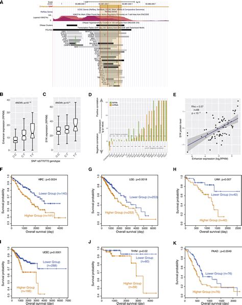 A Pan Cancer Analysis Of Enhancer Expression In Nearly 9000 Patient