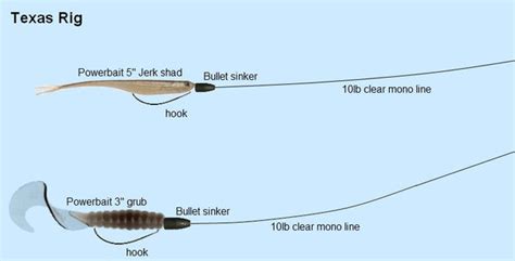 Texas Rig Detailed Explanation With Softbaitandworm Hook Basstrike