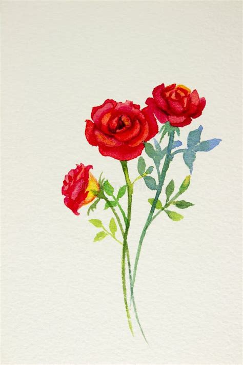 Pintura De La Acuarela De Rosas Rojas Stock De Ilustración Ilustración De Pintura Decoración