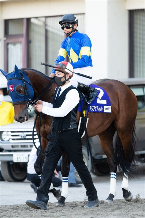 東京シティ競馬tck On Twitter モジアナフレイバー の引退が発表されました。 2019年の東京大賞典、2020年のマイル