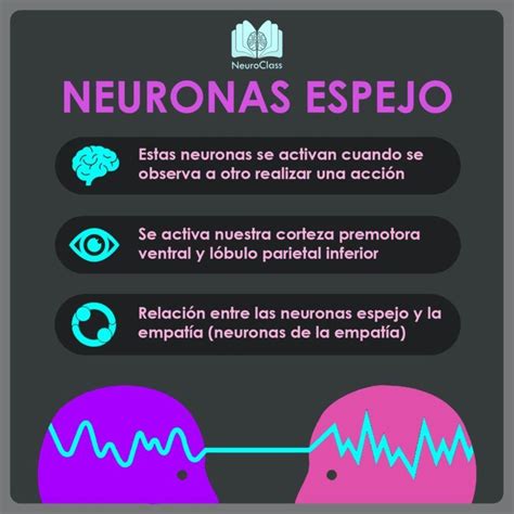 Infograf As Neuroclass Psicologia Neurociencia Neurociencia Y