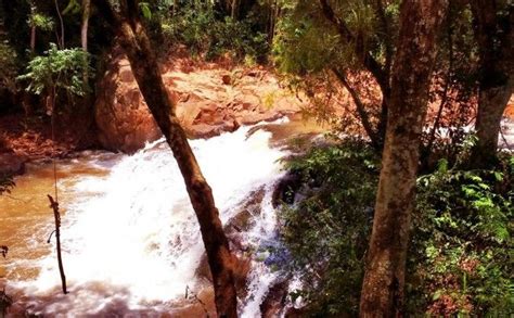 Cooperativa recebe Prêmio Expressão de Ecologia pela terceira vez