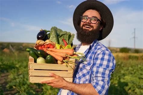 Tapes Pour R Ussir Son Jardin Potager En Permaculture