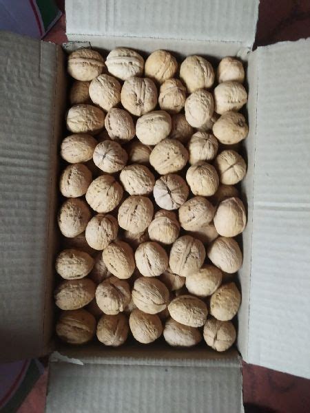 Organic Kashmiri Walnuts For Direct Consumption Restaurant Packaging