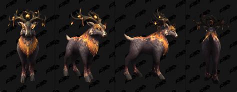 All Druid forms in WoW Dragonflight Patch 10.2