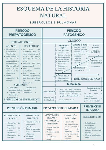 Accion De Enfermeria En La Historia Natural De La Tuberculosis Pulmonar