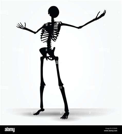 Vector Image Skeleton Silhouette In Power Pose Isolated On White