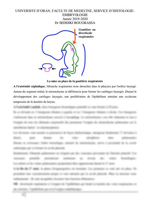 Solution Histologie De L Appareil Respiratoire Studypool