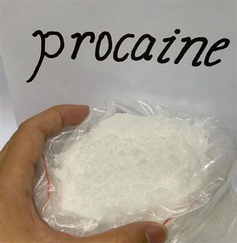 Procaine Hcl At Best Price In Guangzhou Guangdong Guangzhou Tengyue