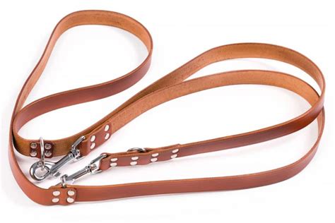 Adjustable Leather Dog Lead Dogmount