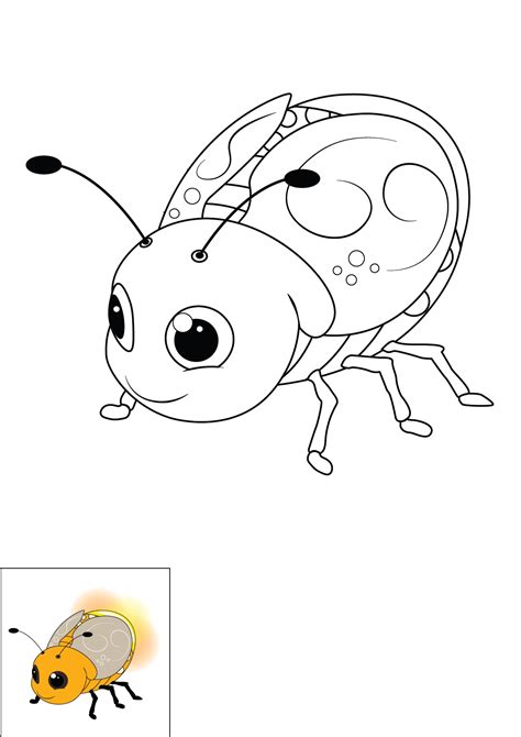 How To Draw A Firefly Step By Step