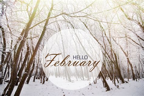 Hello February wallpaper, winter landscape in frozen forest Stock Photo ...