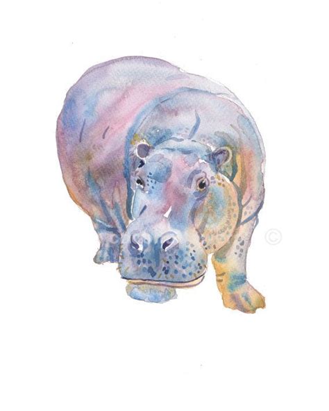 Hippos Paintings Hippo Nice Watercolour Painting Animal