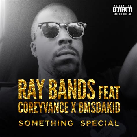 Something Special Single By Ray Bands Spotify