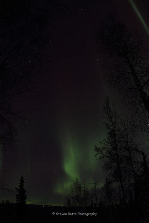 Aurora Borealis Steve Betts Flickr