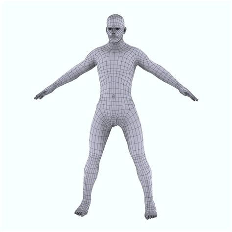 Human Anatomy Body Male Skin Only 3d Model 79 Max 3ds Dae Dxf