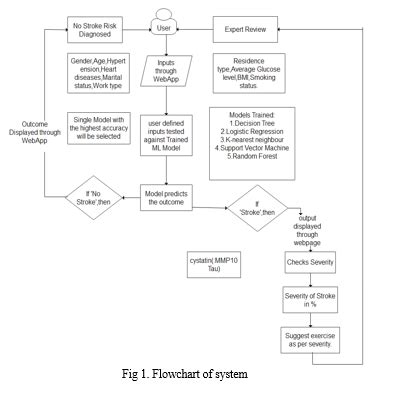 Brain Stroke Prediction Using Machine Learning