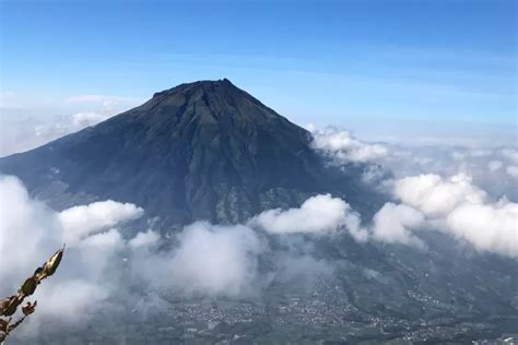 Serunya Mendaki Gunung Sindoro Via Alang Alang Sewu Cocok Untuk