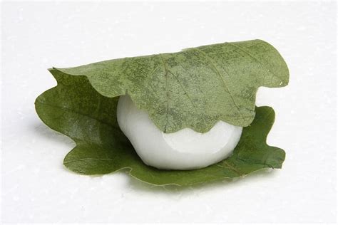 Kashiwa Mochi - Recipe and Curiosities