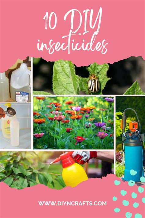 10 Diy Insecticides To Keep Your Garden Pest Free Naturally Diy