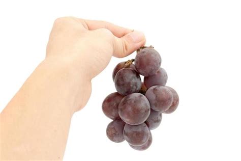 Single Grape Stock Photos, Images and Backgrounds for Free Download