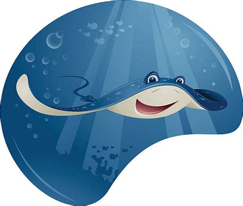 Manta Ray Clip Art, Vector Images & Illustrations - iStock