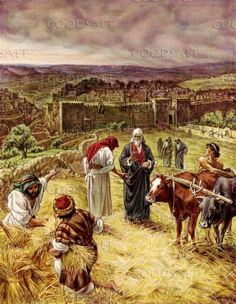 King David Purchasing The Threshing Floor GoodSalt