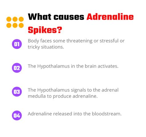 How To Hack Adrenaline Rush For A Better Visual Mood Vision Science