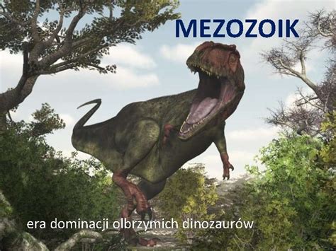 Geologiczne Dzieje Ziemi Budowa Wewntrzna Ziemi Podstawowy Podzia