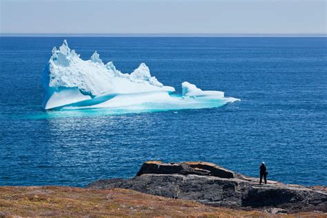 Best Place to See Icebergs in Newfoundland - Suitcase and Heels