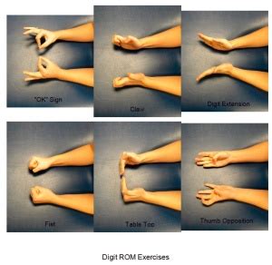 Wrist and Hand Examination - Physiopedia