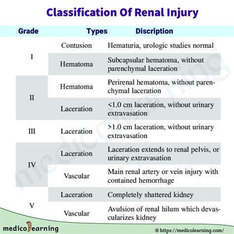 Classification Of Renal Injury Medicolearning