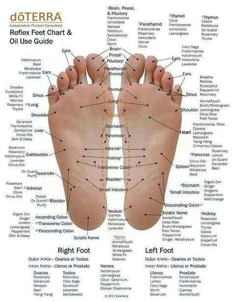 Printable Foot Pressure Points Chart