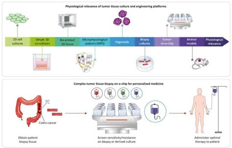 Trends Biotech 四大类癌症模型指南 知乎