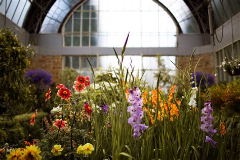 Auckland Domain Winter Gardens On Behance