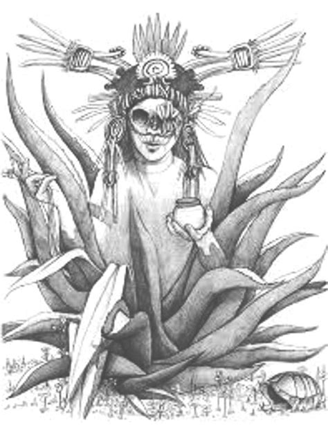 Mayahuel Diosa Del Maguey Mayan Goddess Of Maguey Mayan Art The Best