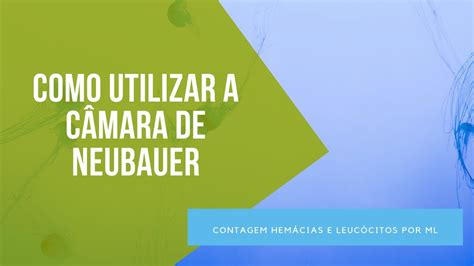 Como Utilizar A C Mara De Neubauer Para Contar Hem Cias E Leuc Citos