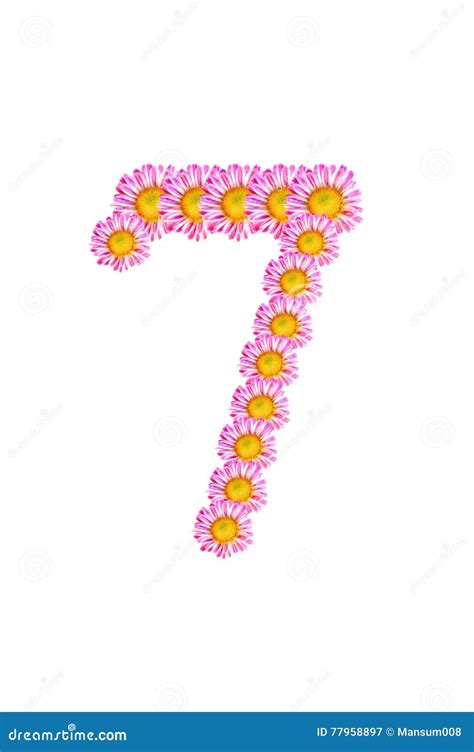 Flower Number Seven Stock Image Image Of Design Beautiful 77958897