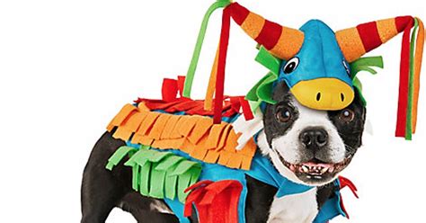 Petco Dog Halloween Costumes 2016 | POPSUGAR Pets