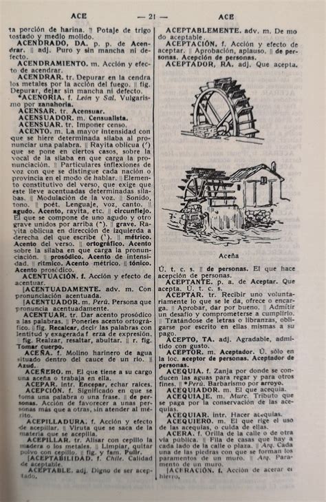 Diccionario Manual E Ilustrado De La Lengua Espanola Von Real Academia