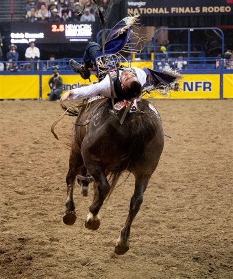 nfr rodeo 2021 tv schedule - Zula Schwarz