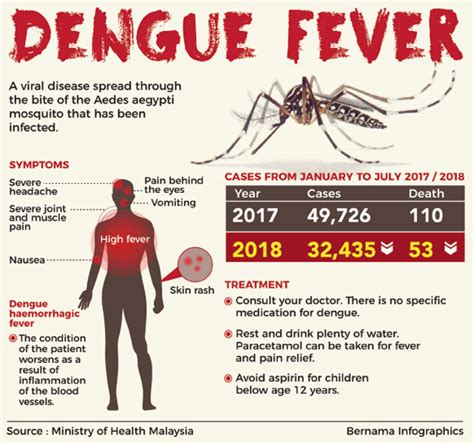 Infographic About Dengue