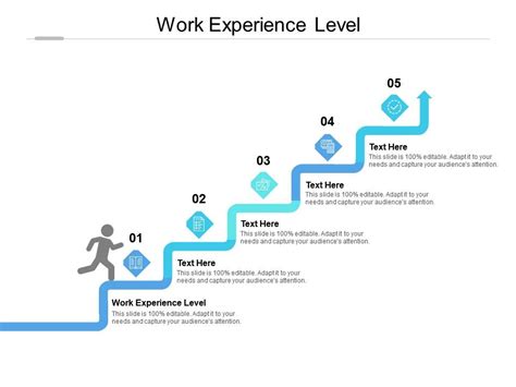 Work Experience Level Ppt Powerpoint Presentation Outline Graphics