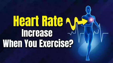 Why Does Your Heart Rate Increase When You Exercise Fitness97