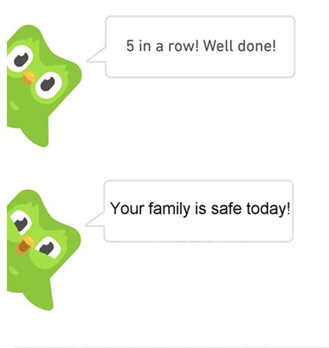 How the Duolingo owl became a social media darling - Writer