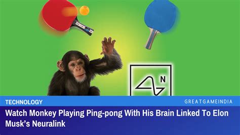 Watch Monkey Playing Ping Pong With His Brain Linked To Elon Musks